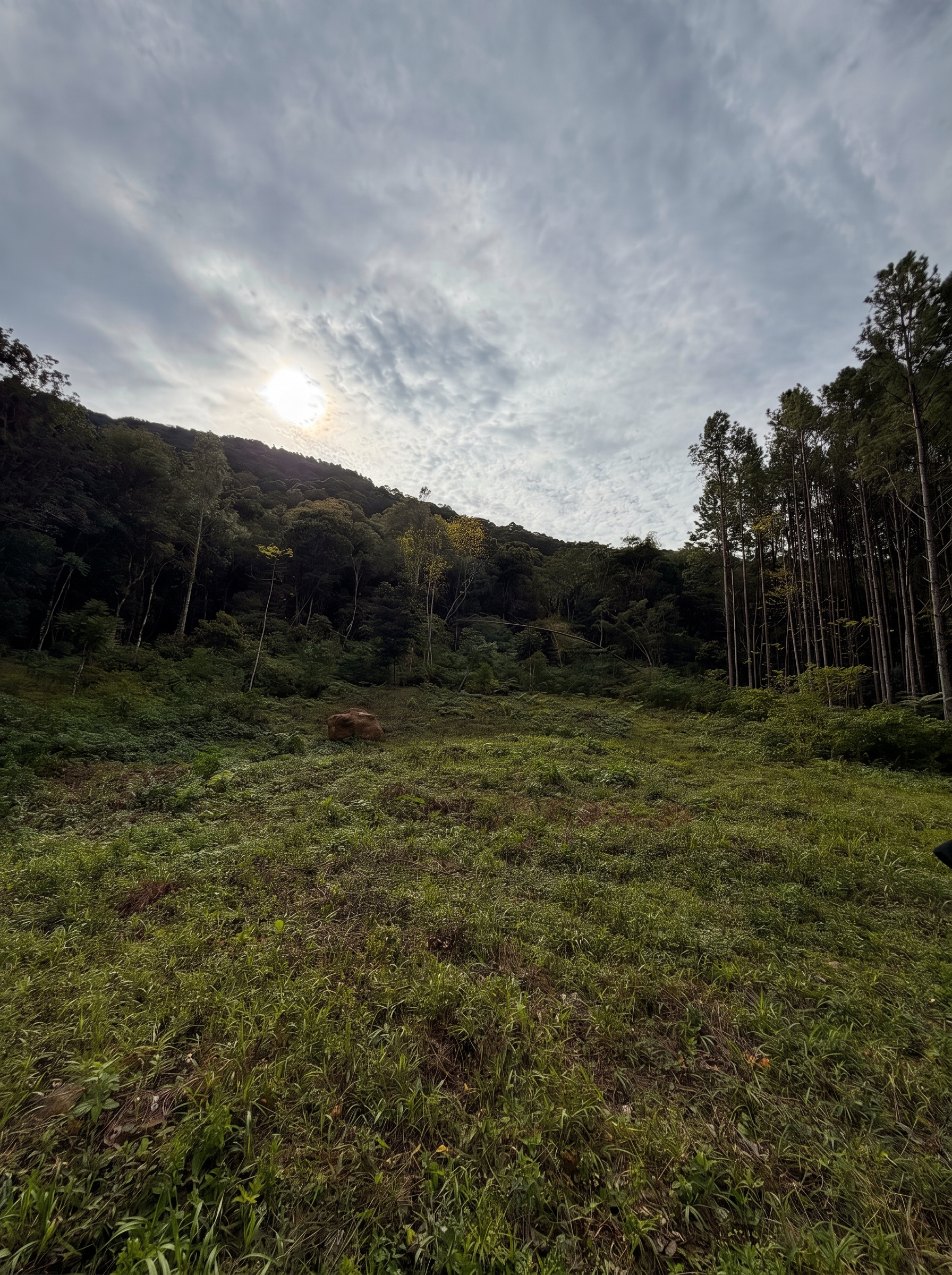Pôr do sol sobre o vale em Canela RS